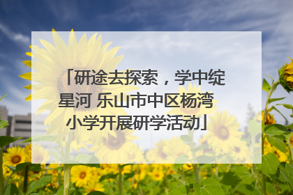 研途去探索，学中绽星河 乐山市中区杨湾小学开展研学活动