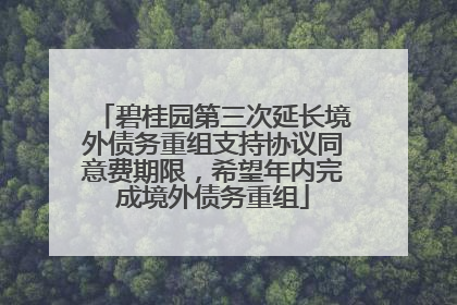 碧桂园第三次延长境外债务重组支持协议同意费期限，希望年内完成境外债务重组