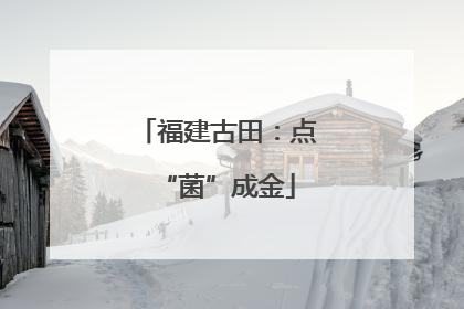 福建古田：点“菌”成金