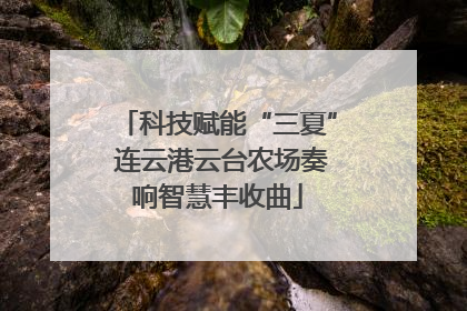 科技赋能“三夏” 连云港云台农场奏响智慧丰收曲