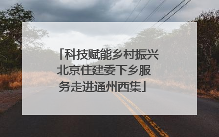 科技赋能乡村振兴 北京住建委下乡服务走进通州西集