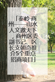 秦岭·商州——山水人文邀天下，商州区委副书记、区长支朝奇推介5个重点招商项目
