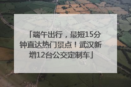 端午出行，最短15分钟直达热门景点！武汉新增12台公交定制车