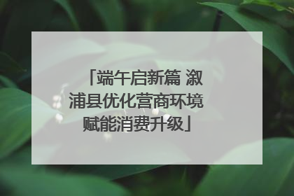 端午启新篇 溆浦县优化营商环境赋能消费升级