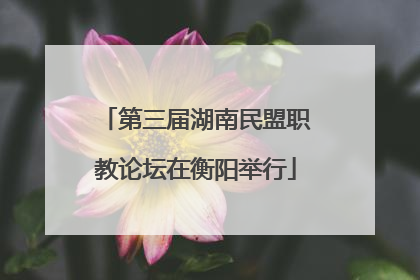 第三届湖南民盟职教论坛在衡阳举行
