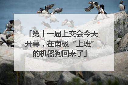 第十一届上交会今天开幕，在南极“上班”的机器狗回来了