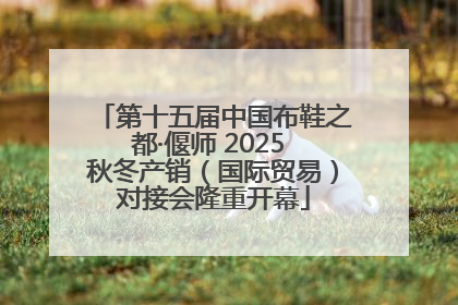 第十五届中国布鞋之都·偃师 2025 秋冬产销（国际贸易）对接会隆重开幕
