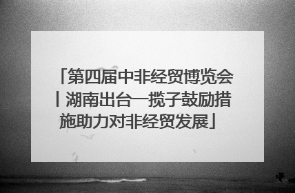 第四届中非经贸博览会丨湖南出台一揽子鼓励措施助力对非经贸发展