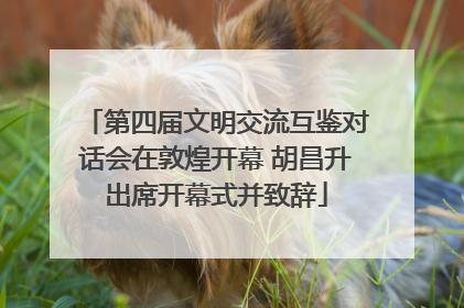 第四届文明交流互鉴对话会在敦煌开幕 胡昌升出席开幕式并致辞