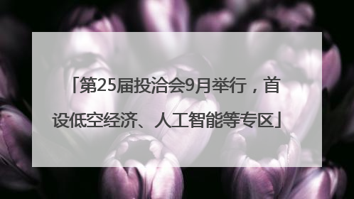 第25届投洽会9月举行，首设低空经济、人工智能等专区