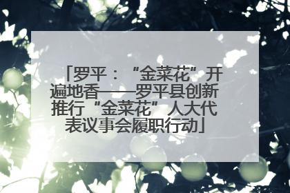 罗平：“金菜花”开遍地香——罗平县创新推行“金菜花”人大代表议事会履职行动