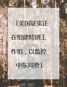 美国证实正在组建特别工作组，以监控中东局势