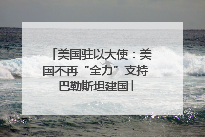 美国驻以大使：美国不再“全力”支持巴勒斯坦建国