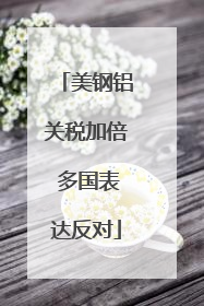 美钢铝关税加倍 多国表达反对