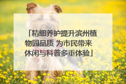 精细养护提升滨州植物园品质 为市民带来休闲与科普多重体验