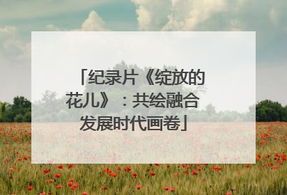 纪录片《绽放的花儿》：共绘融合发展时代画卷