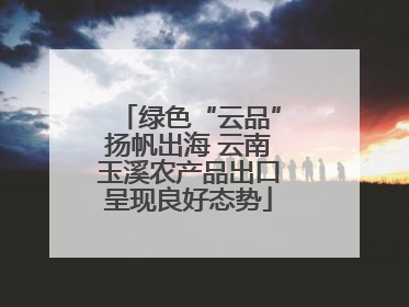 绿色“云品”扬帆出海 云南玉溪农产品出口呈现良好态势