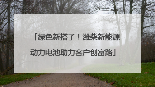 绿色新搭子！潍柴新能源动力电池助力客户创富路