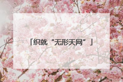 织就“无形天网”