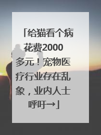 给猫看个病花费2000多元！宠物医疗行业存在乱象，业内人士呼吁→