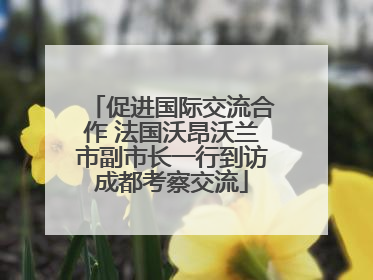 促进国际交流合作 法国沃昂沃兰市副市长一行到访成都考察交流