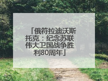 俄符拉迪沃斯托克：纪念苏联伟大卫国战争胜利80周年