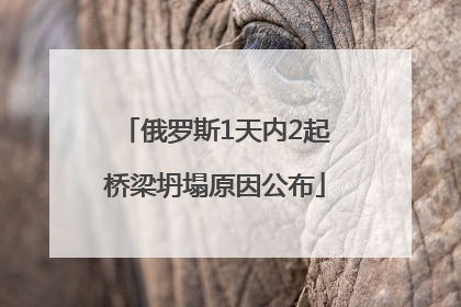 俄罗斯1天内2起桥梁坍塌原因公布