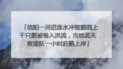 信阳一河道涨水冲毁鹅圈上千只鹅被卷入洪流，当地蓝天救援队一小时赶鹅上岸