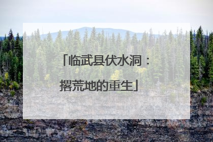 临武县伏水洞：撂荒地的重生