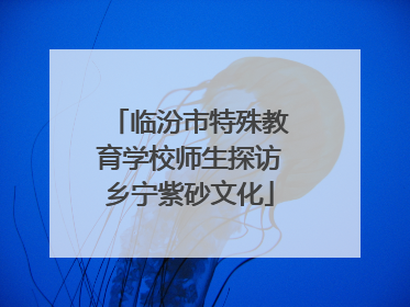 临汾市特殊教育学校师生探访乡宁紫砂文化