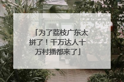 为了荔枝广东太拼了！千万达人十万村播都来了