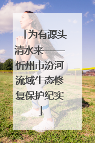 为有源头清水来——忻州市汾河流域生态修复保护纪实