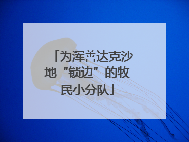 为浑善达克沙地“锁边”的牧民小分队
