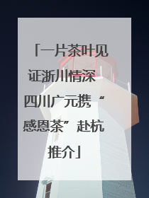 一片茶叶见证浙川情深 四川广元携“感恩茶”赴杭推介