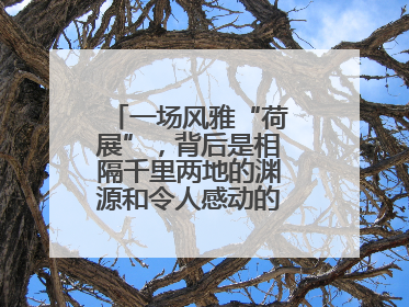 一场风雅“荷展”，背后是相隔千里两地的渊源和令人感动的历史人文情怀