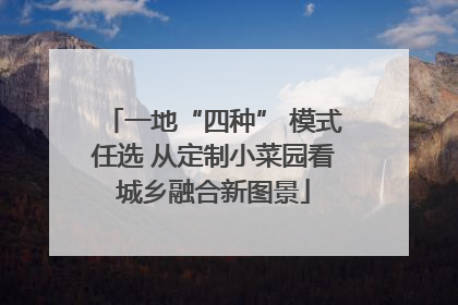 一地“四种” 模式任选 从定制小菜园看城乡融合新图景
