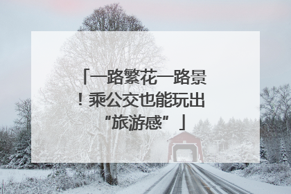 一路繁花一路景！乘公交也能玩出“旅游感”