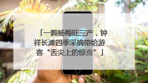一颗杨梅旺三产，钟祥长滩四季采摘带给游客“舌尖上的惊喜”
