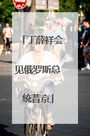 丁薛祥会见俄罗斯总统普京
