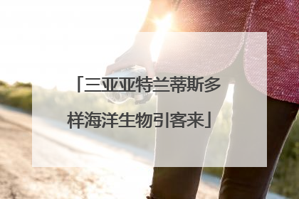 三亚亚特兰蒂斯多样海洋生物引客来