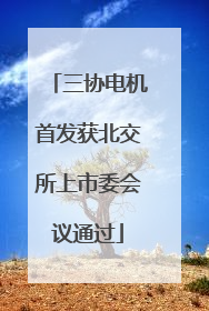 三协电机首发获北交所上市委会议通过