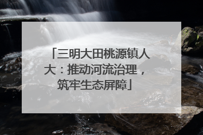 三明大田桃源镇人大：推动河流治理，筑牢生态屏障
