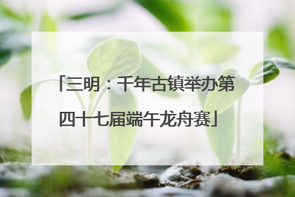 三明：千年古镇举办第四十七届端午龙舟赛