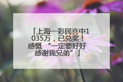 上海一彩民喜中1035万，已兑奖！感慨 “一定要好好感谢我兄弟”