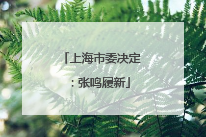上海市委决定：张鸣履新