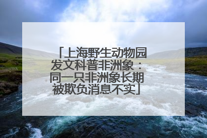 上海野生动物园发文科普非洲象：同一只非洲象长期被欺负消息不实