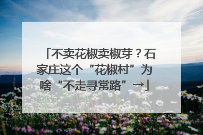 不卖花椒卖椒芽？石家庄这个“花椒村”为啥“不走寻常路”→