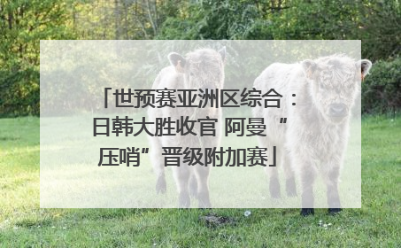 世预赛亚洲区综合：日韩大胜收官 阿曼“压哨”晋级附加赛