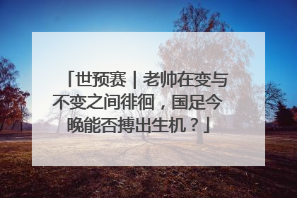 世预赛｜老帅在变与不变之间徘徊，国足今晚能否搏出生机？