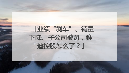 业绩“刹车”、销量下降、子公司被罚，雅迪控股怎么了？
